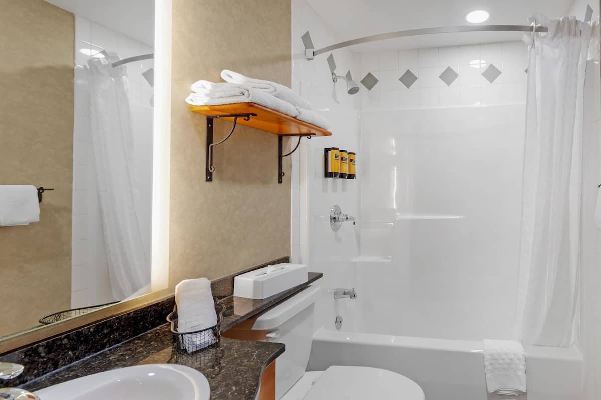 combined shower/bathtub, free toiletries, hair dryer, towels