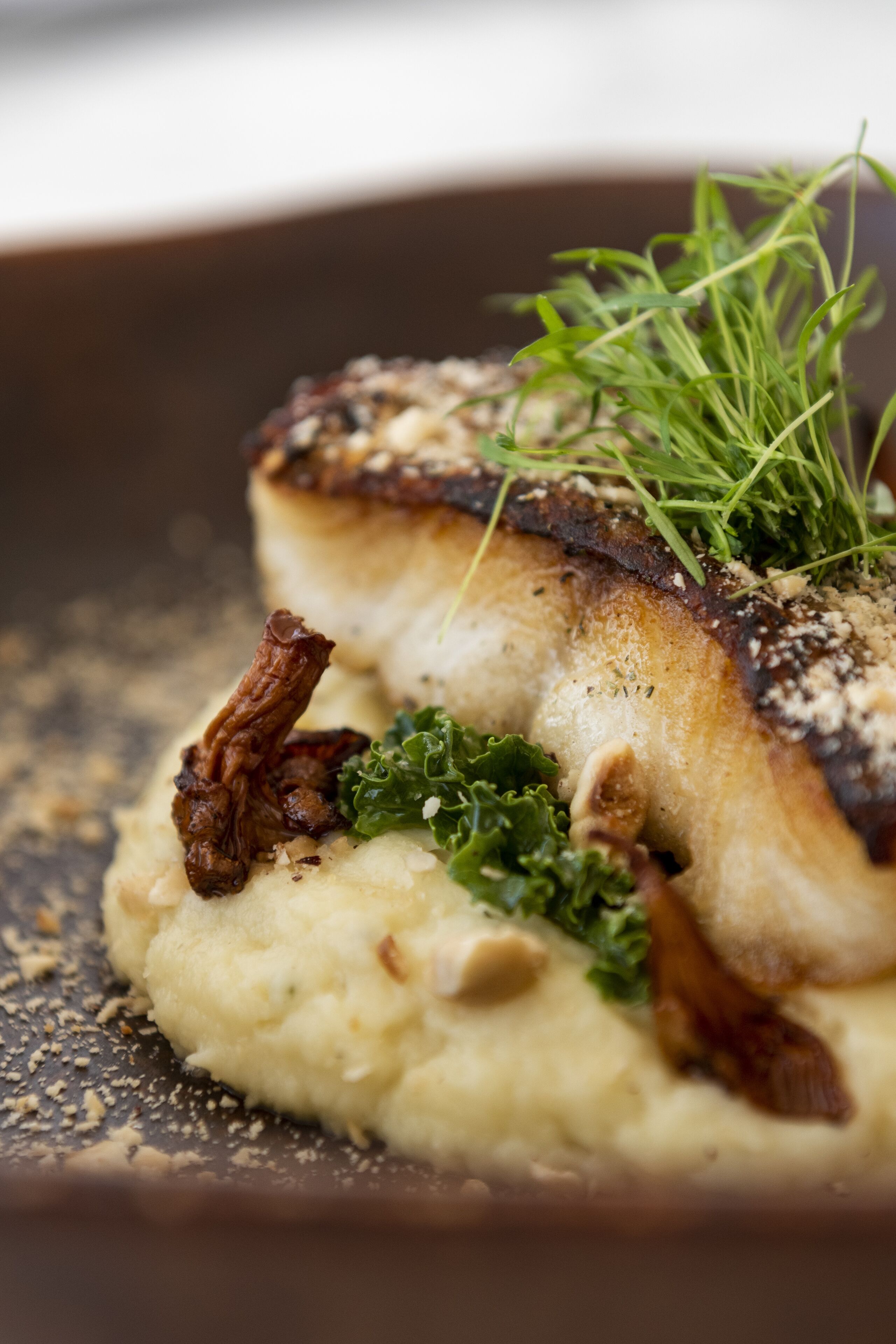 Un plato con pescado, verduras y hongos.