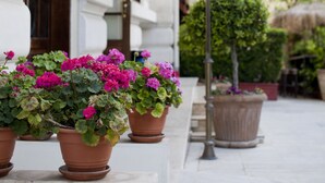 A building facade with a wrought iron balcony, potted plants, and a street lamp. - Hera Hotel (Athens)