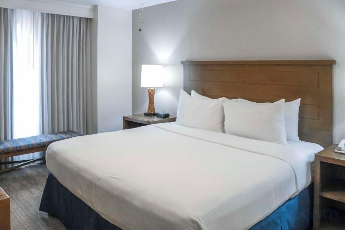 Premium bedding, in-room safe, iron/ironing board, free WiFi