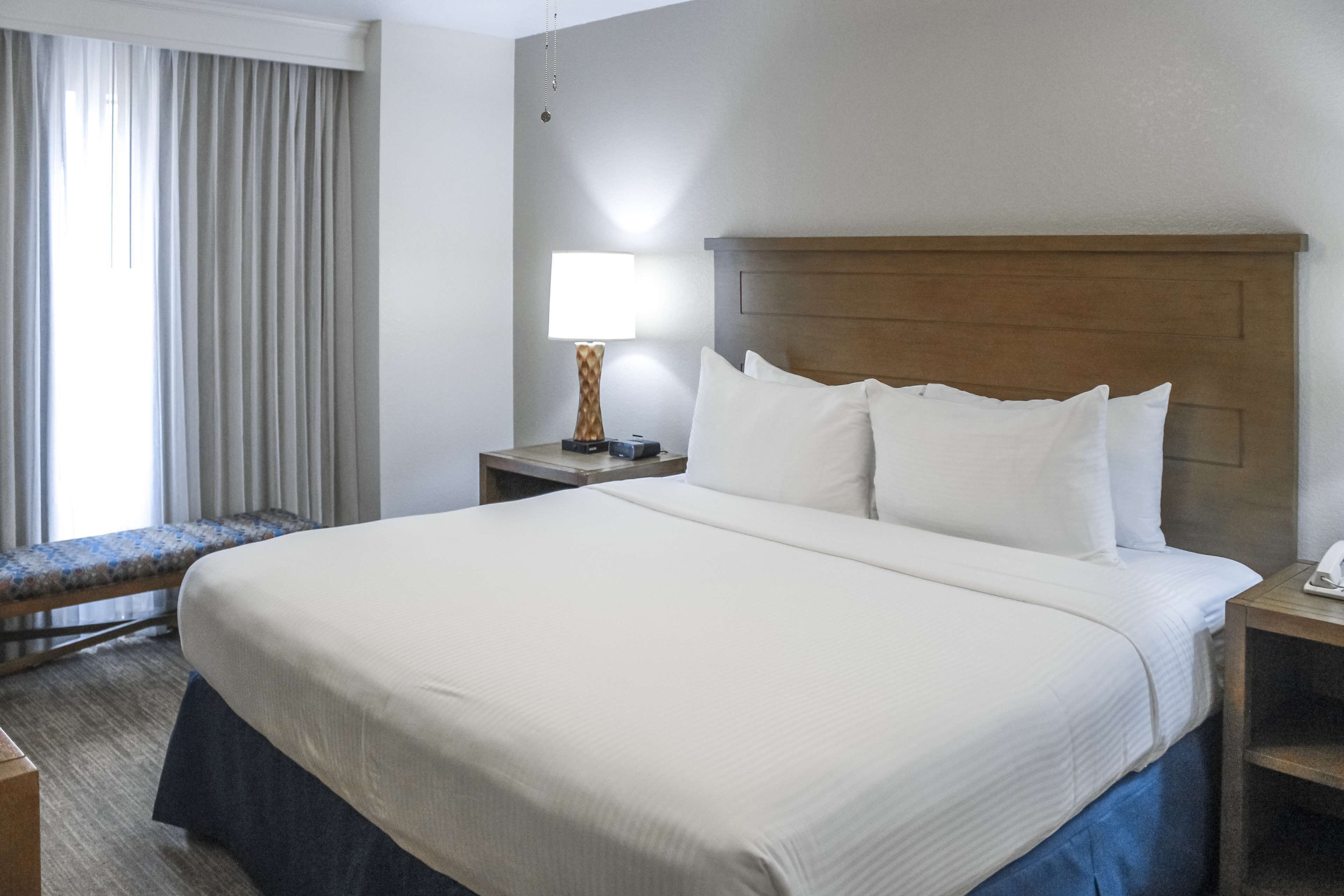 Habitación de hotel con una cama grande, una mesita de noche con lámpara, un banco junto a la ventana y vistas al exterior.