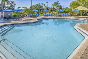 Outdoor pool, sun loungers
