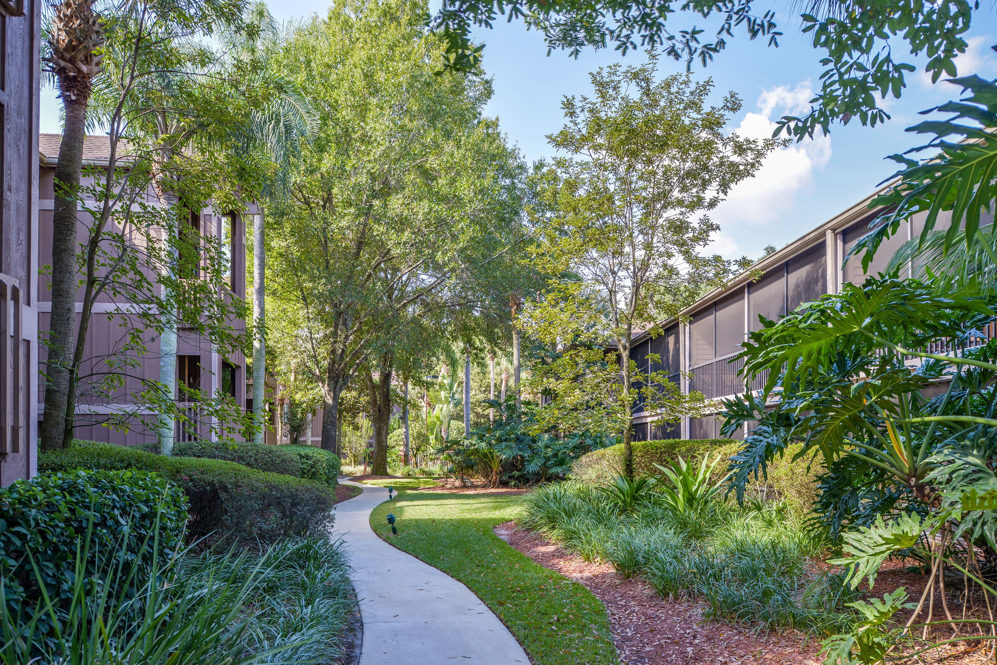 A pathway flanked by lush greenery and modern buildings.