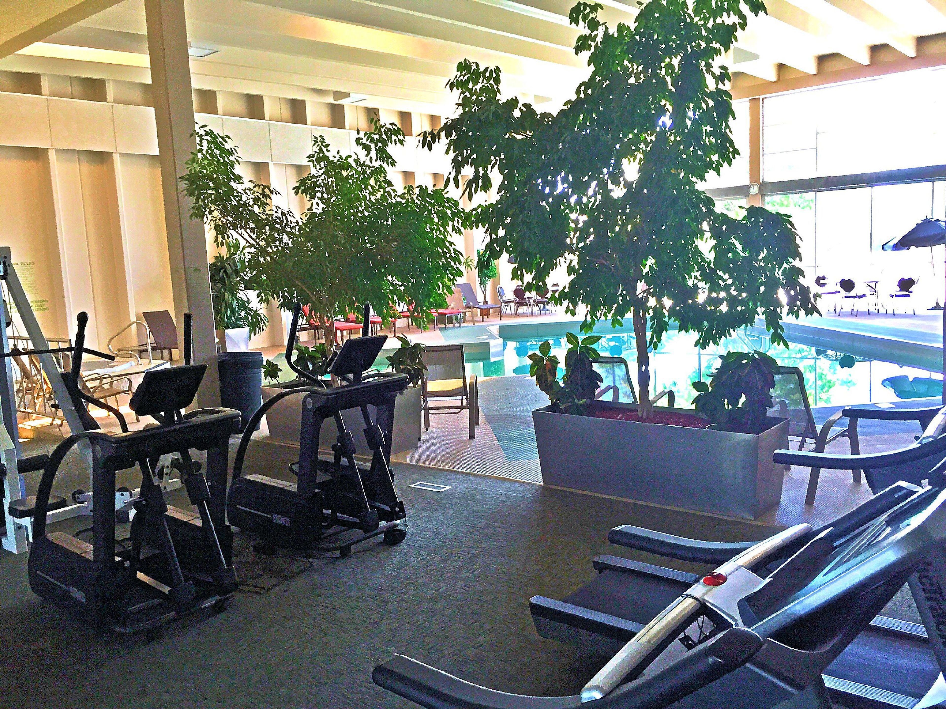 Espaço de ginástica interior com equipamentos de exercício, assentos e plantas em vasos.