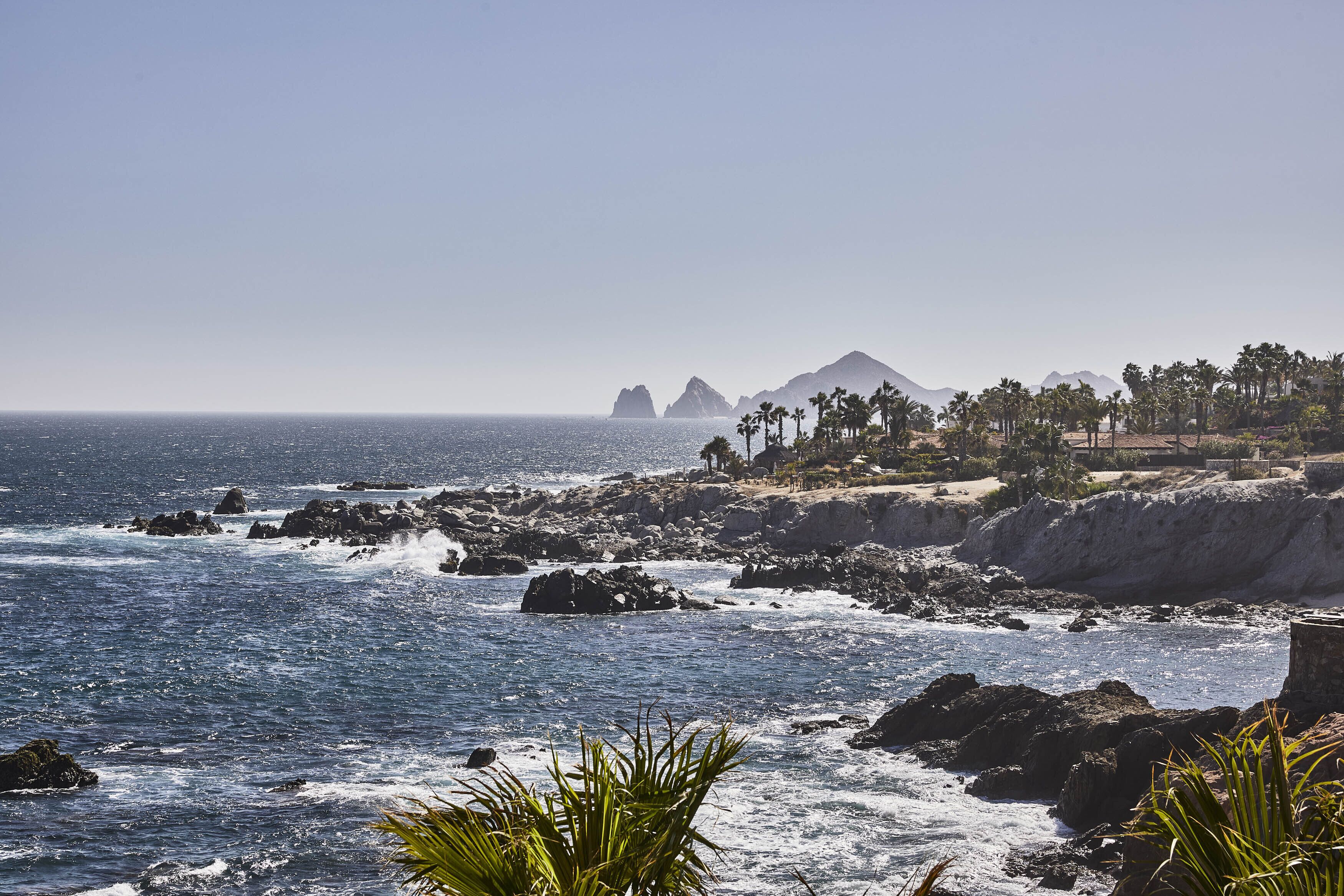 A coastal landscape with rocky shores, palm trees, and distant mountains.