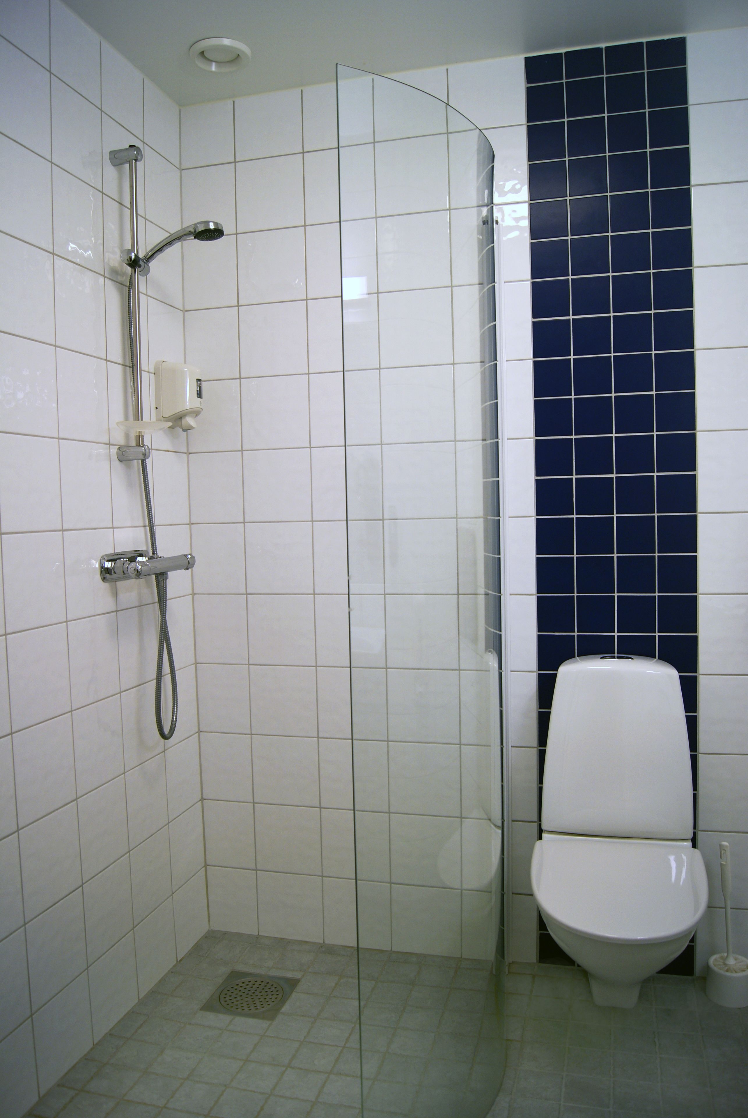A bathroom with a shower, toilet, and a blue-tiled wall.