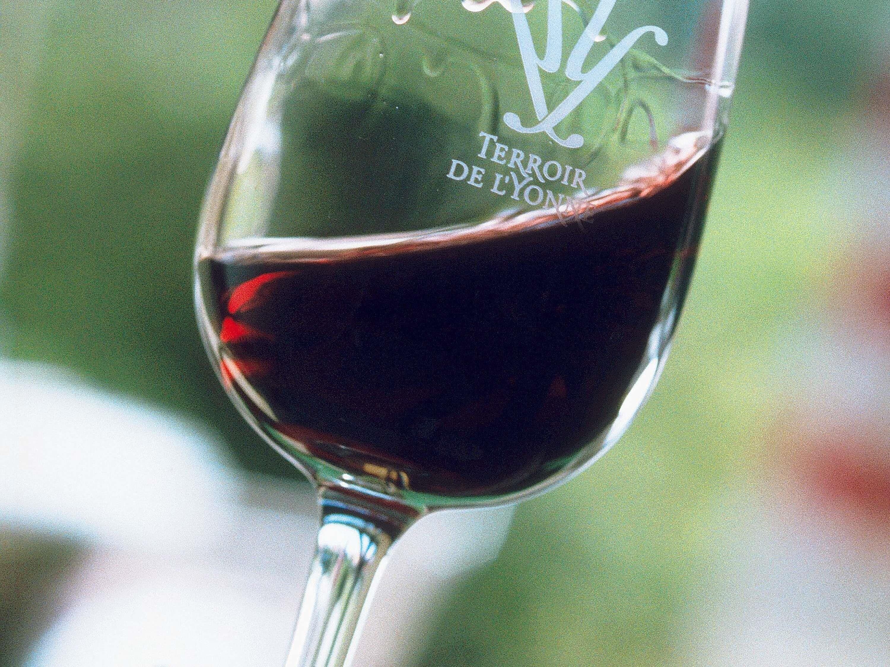 A wine glass with a label that reads 'Terroir de Lyon.'