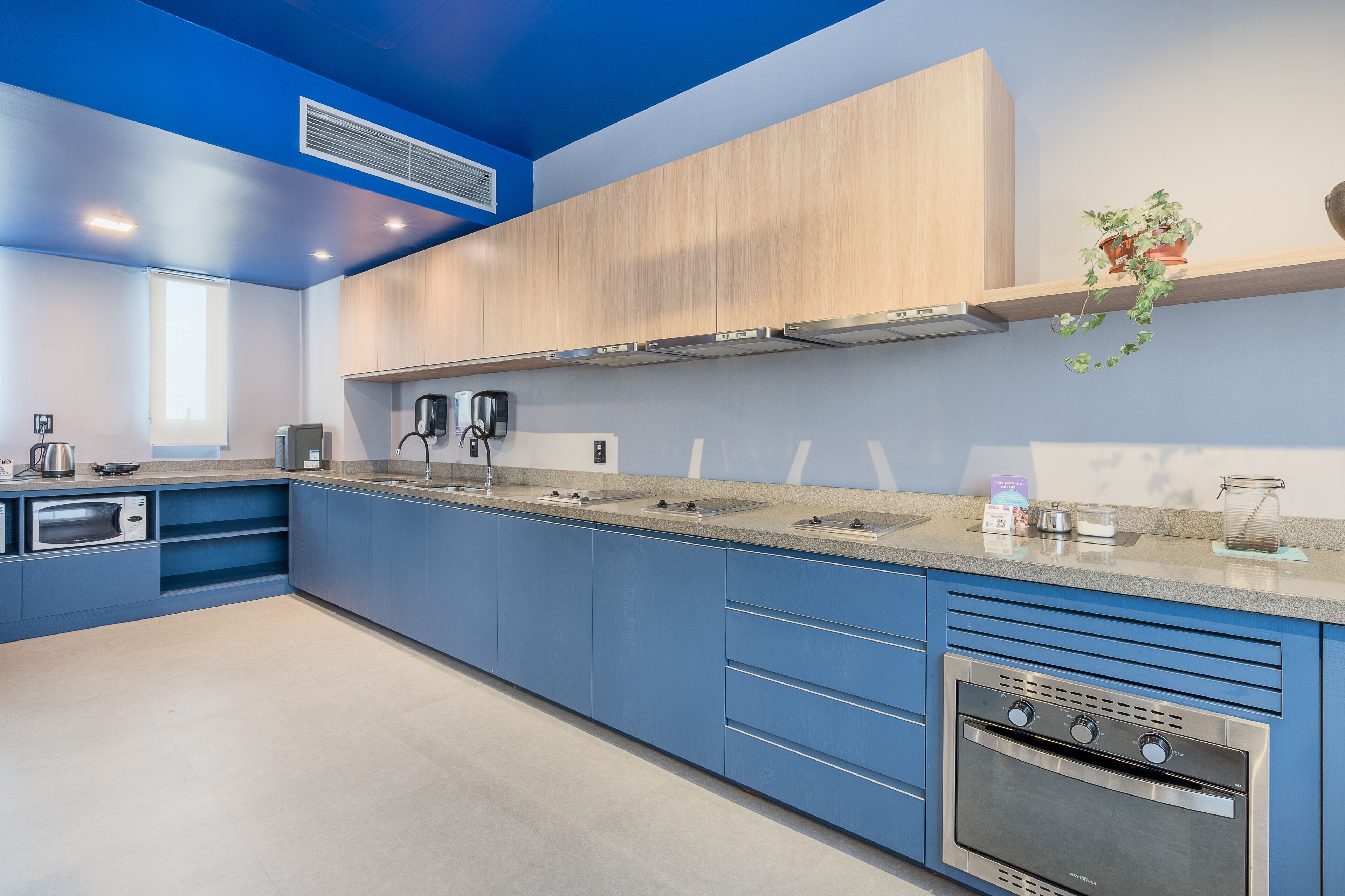 Photo - Swan Generation Porto Alegre