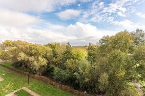A park with dense trees and a clear sky.