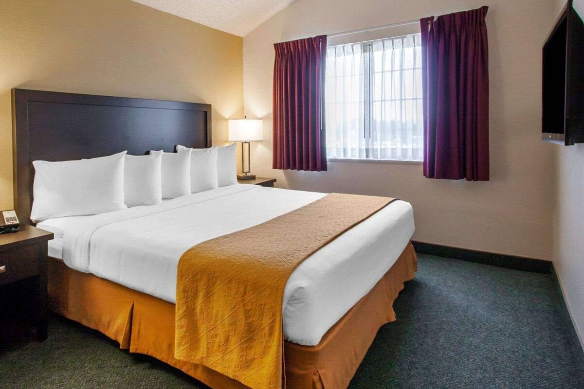 A hotel room with a large bed, a nightstand, a lamp, a window with curtains, and a flat-screen TV.