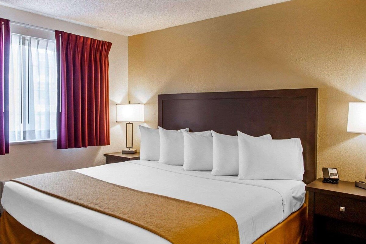 A hotel room with a large bed, two bedside tables, a nightstand, a window with curtains, and a wall-mounted lamp.