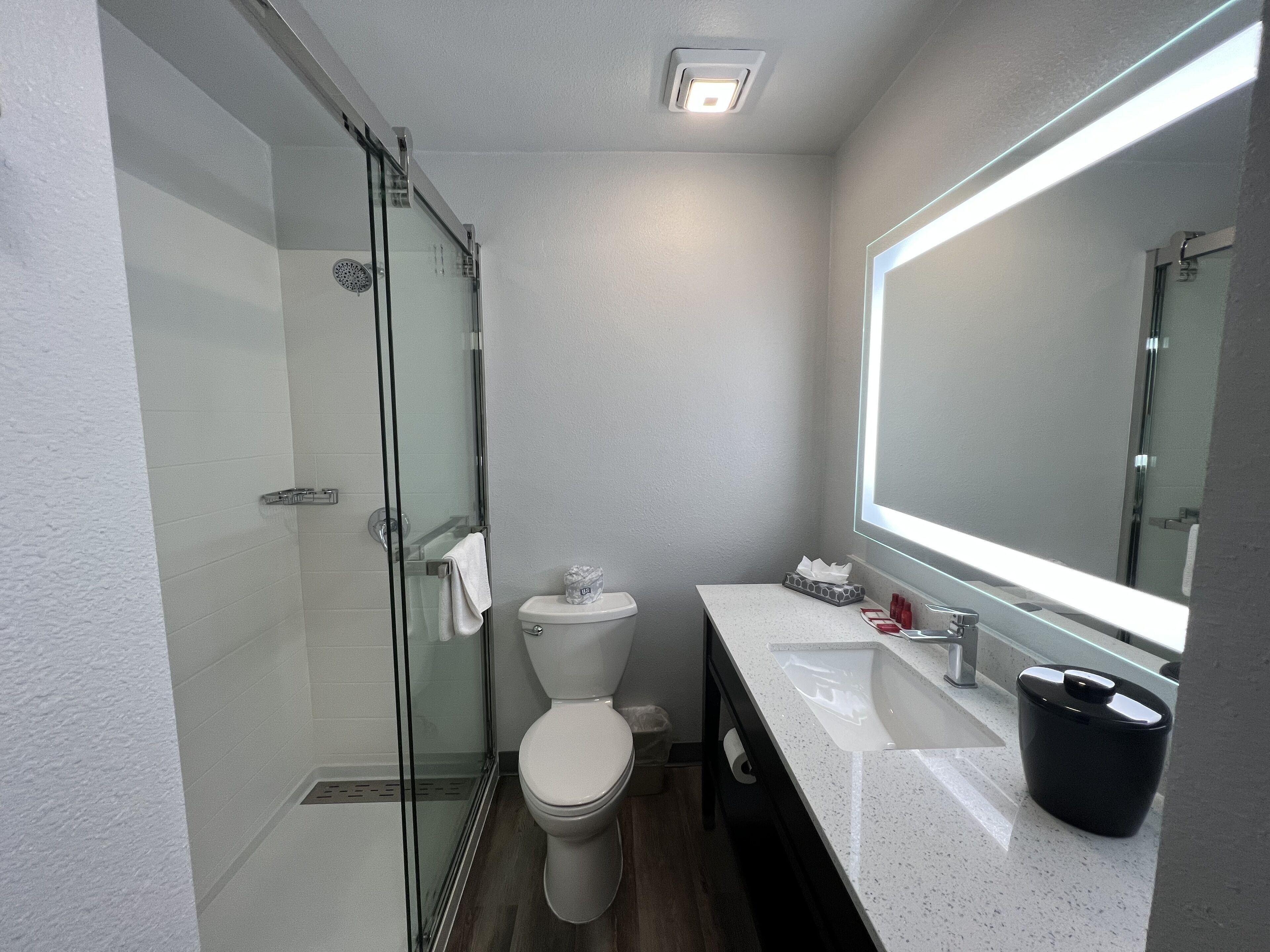 A modern bathroom with a glass shower enclosure, a toilet, a sink with a mirror, and a trash bin.