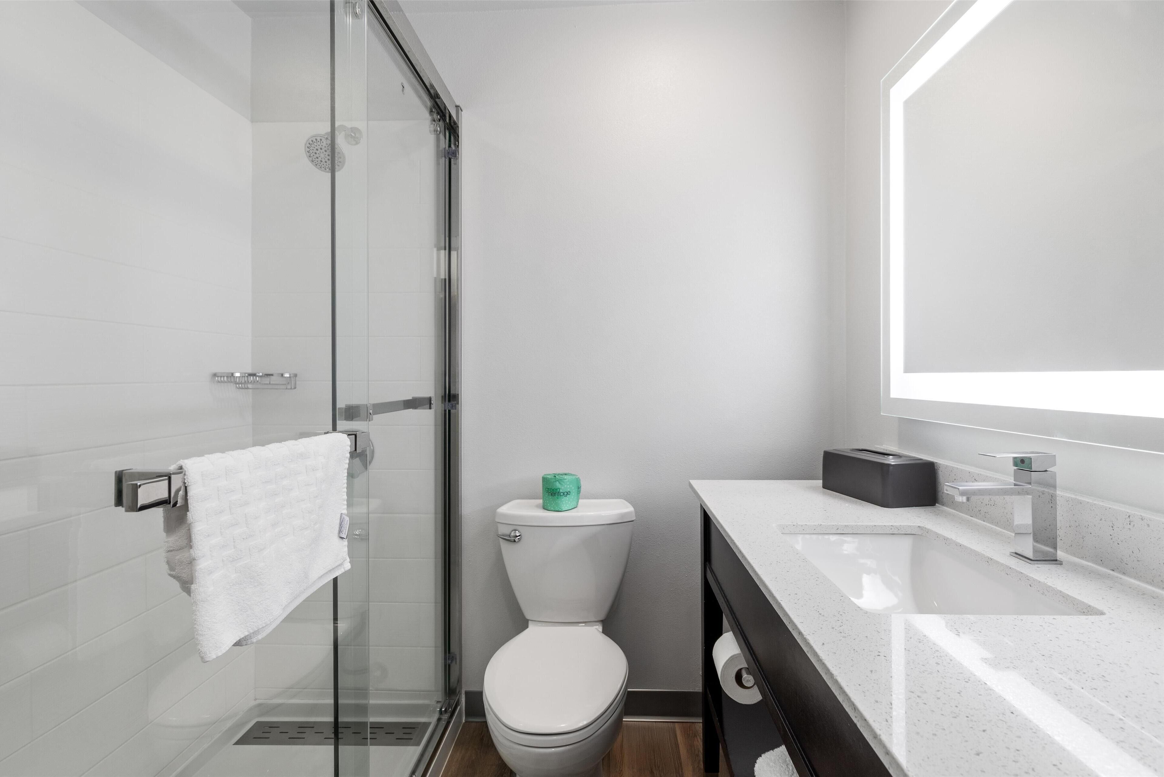 A modern bathroom with a glass shower enclosure, a white toilet, and a countertop with a sink and mirror.