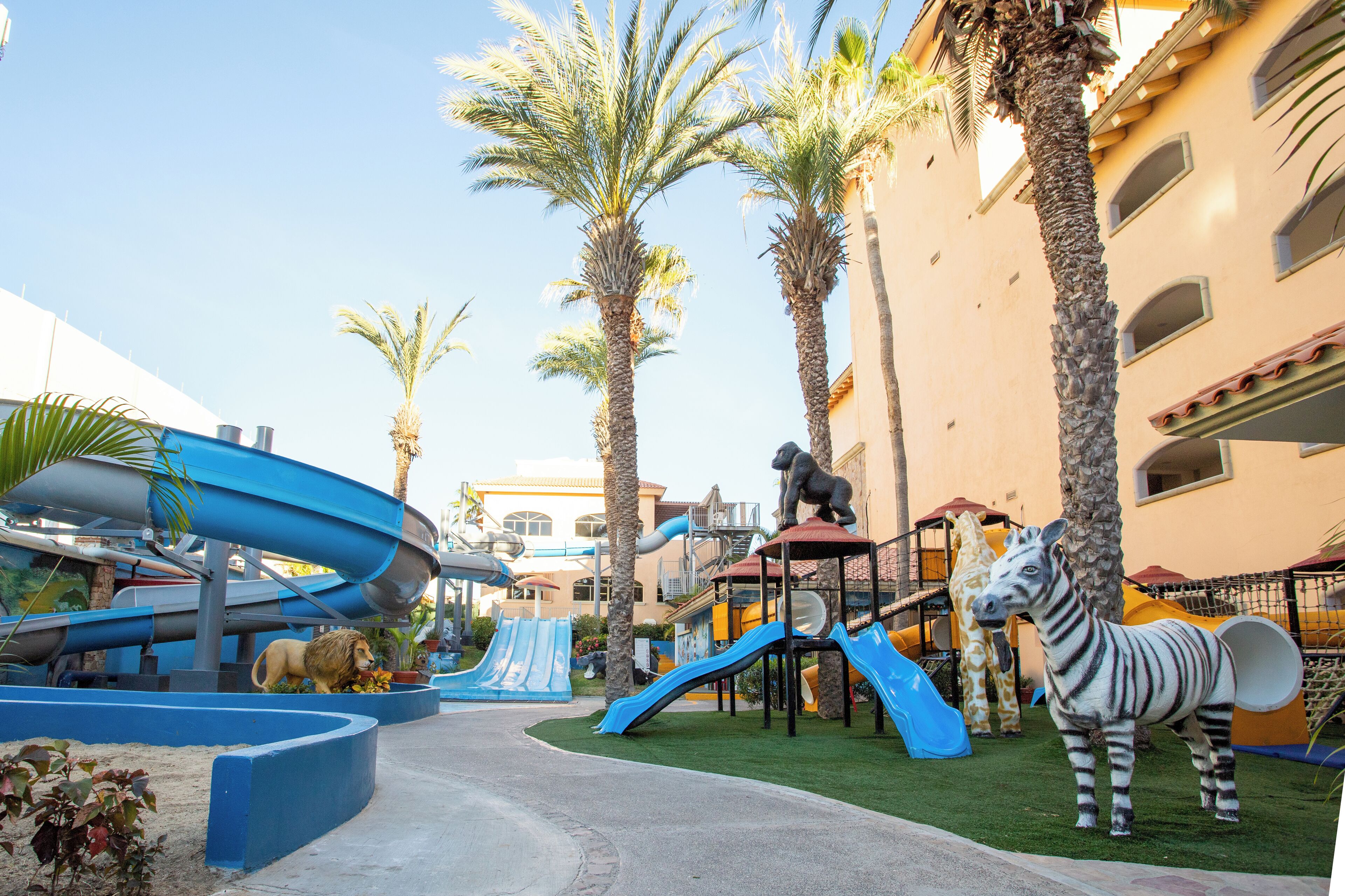 Foto - Royal Solaris Los Cabos - All Inclusive