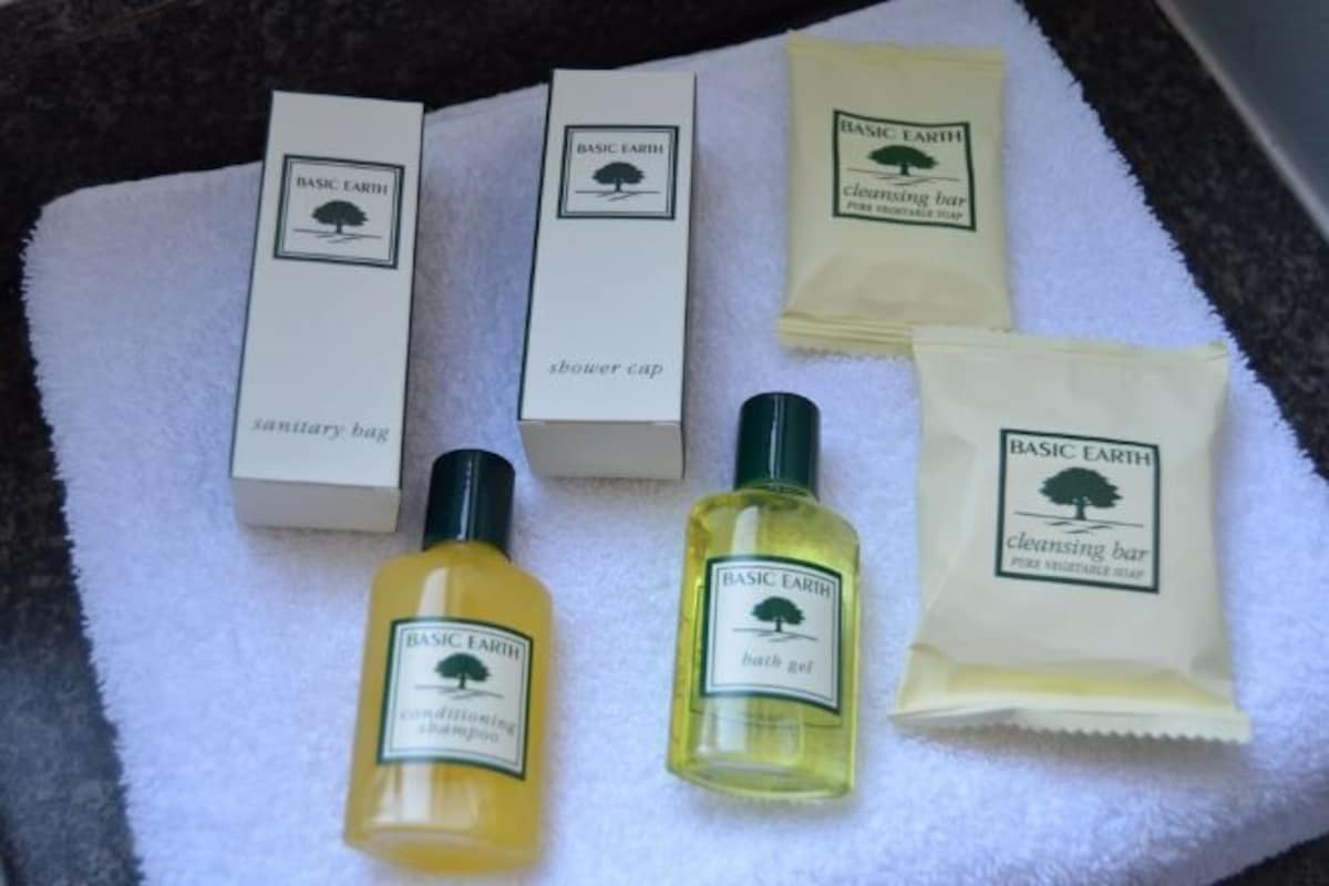 Combined shower/tub, free toiletries, hair dryer, towels