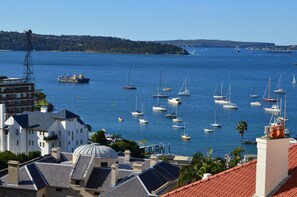 Vista desde la propiedad