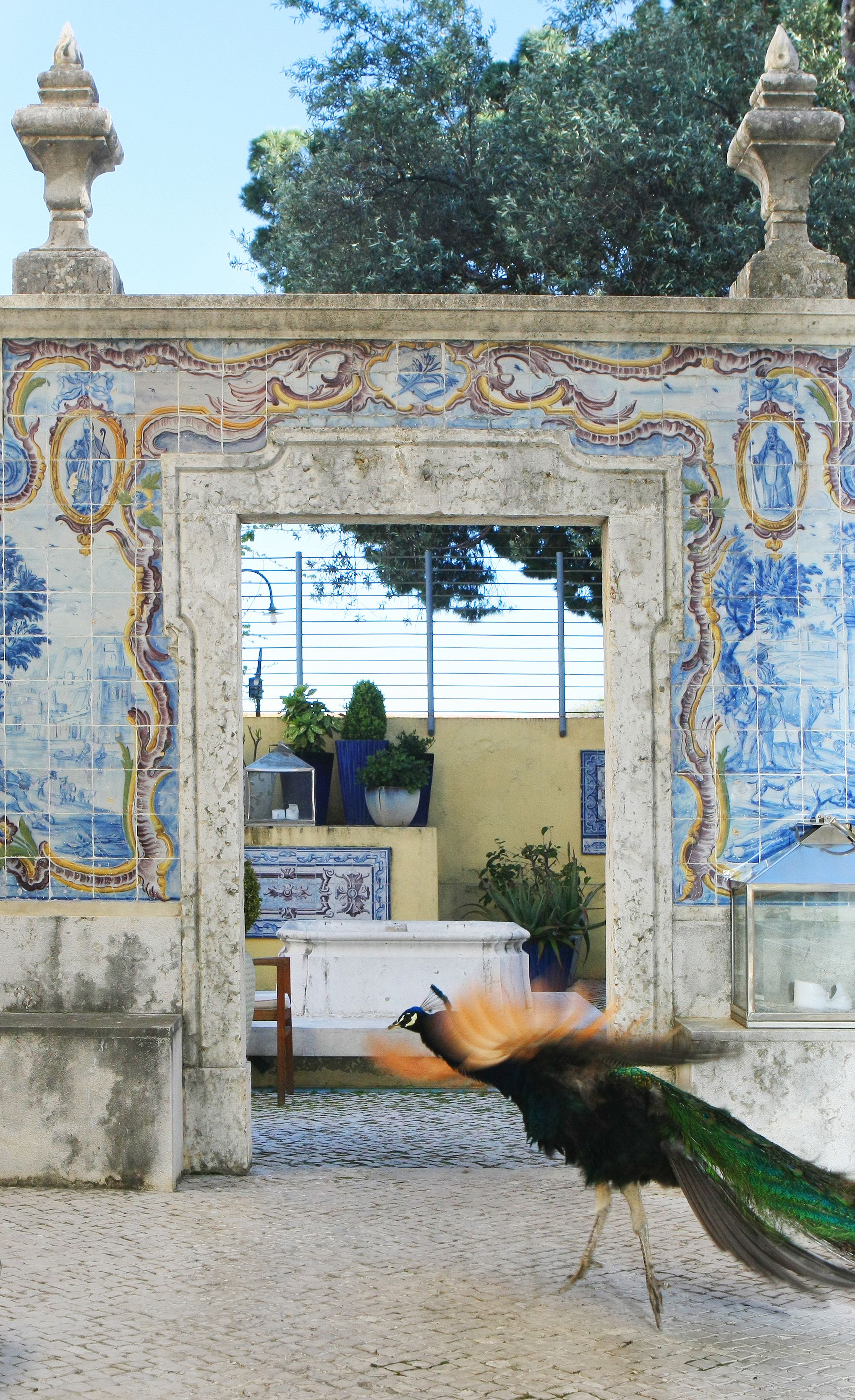 Foto - Solar Do Castelo, a Lisbon Heritage Collection