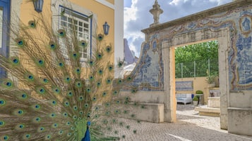 Stroll through a charming courtyard with a vibrant peacock display, a decorative archway, and a cozy seating area.