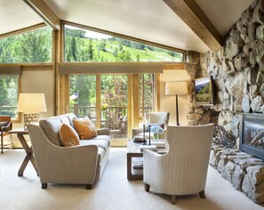 Televisión de pantalla plana, chimenea, reproductor de DVD