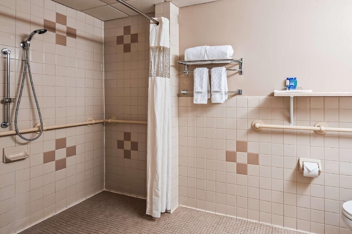 Bathroom | Combined shower/tub, free toiletries, hair dryer, towels