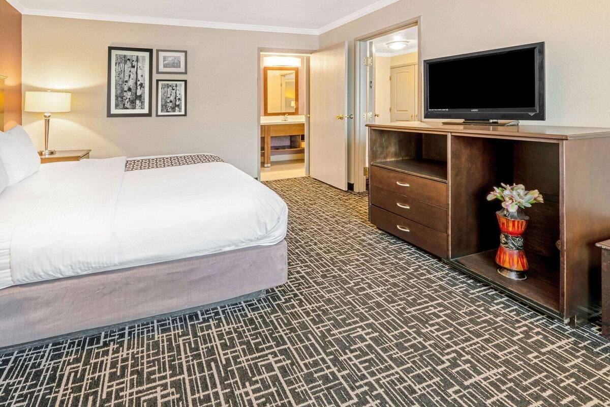 A hotel room with a bed, a television, a dresser, a mirror, and a patterned carpet.