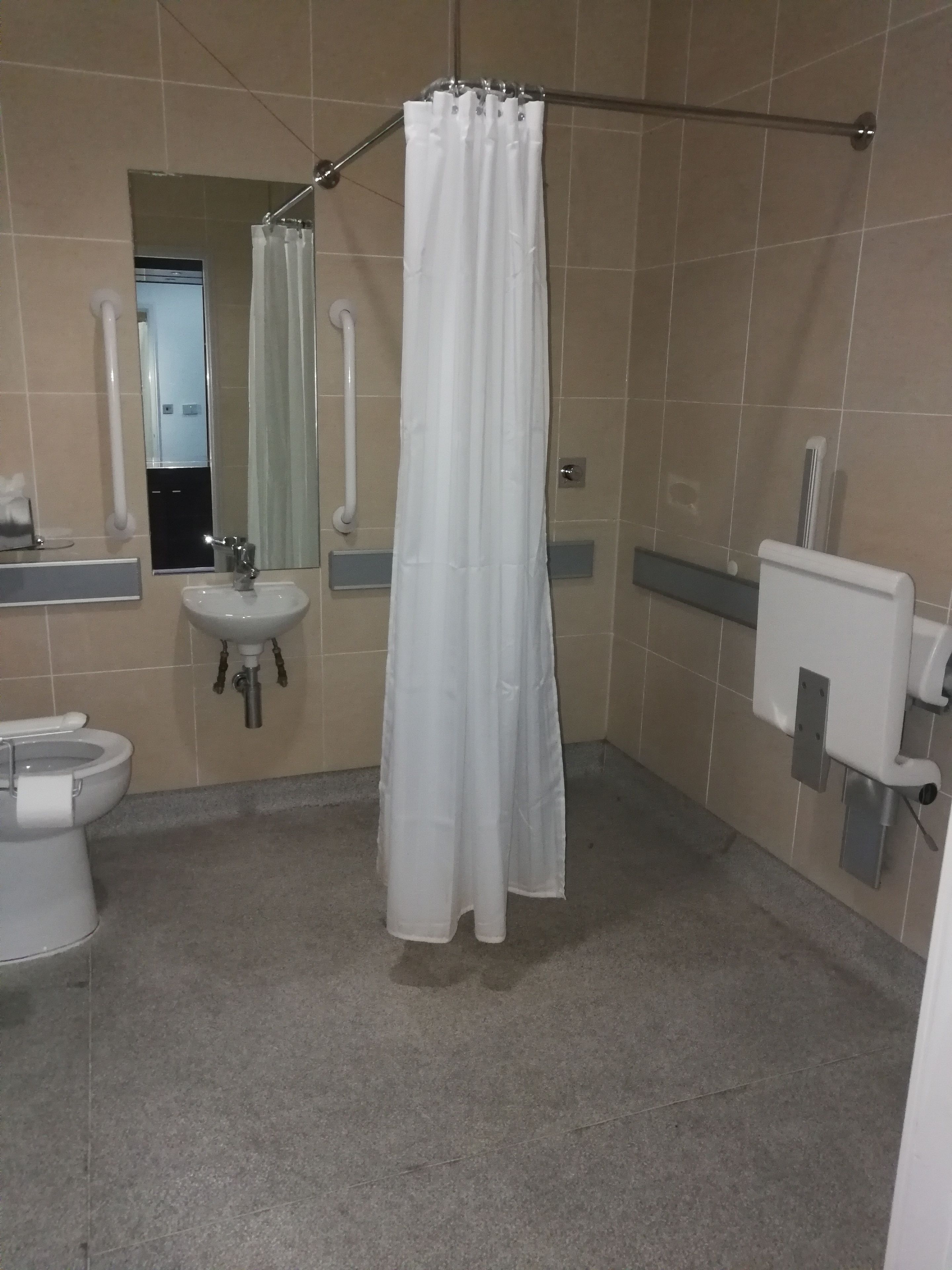 A bathroom with a toilet, sink, and shower curtain.