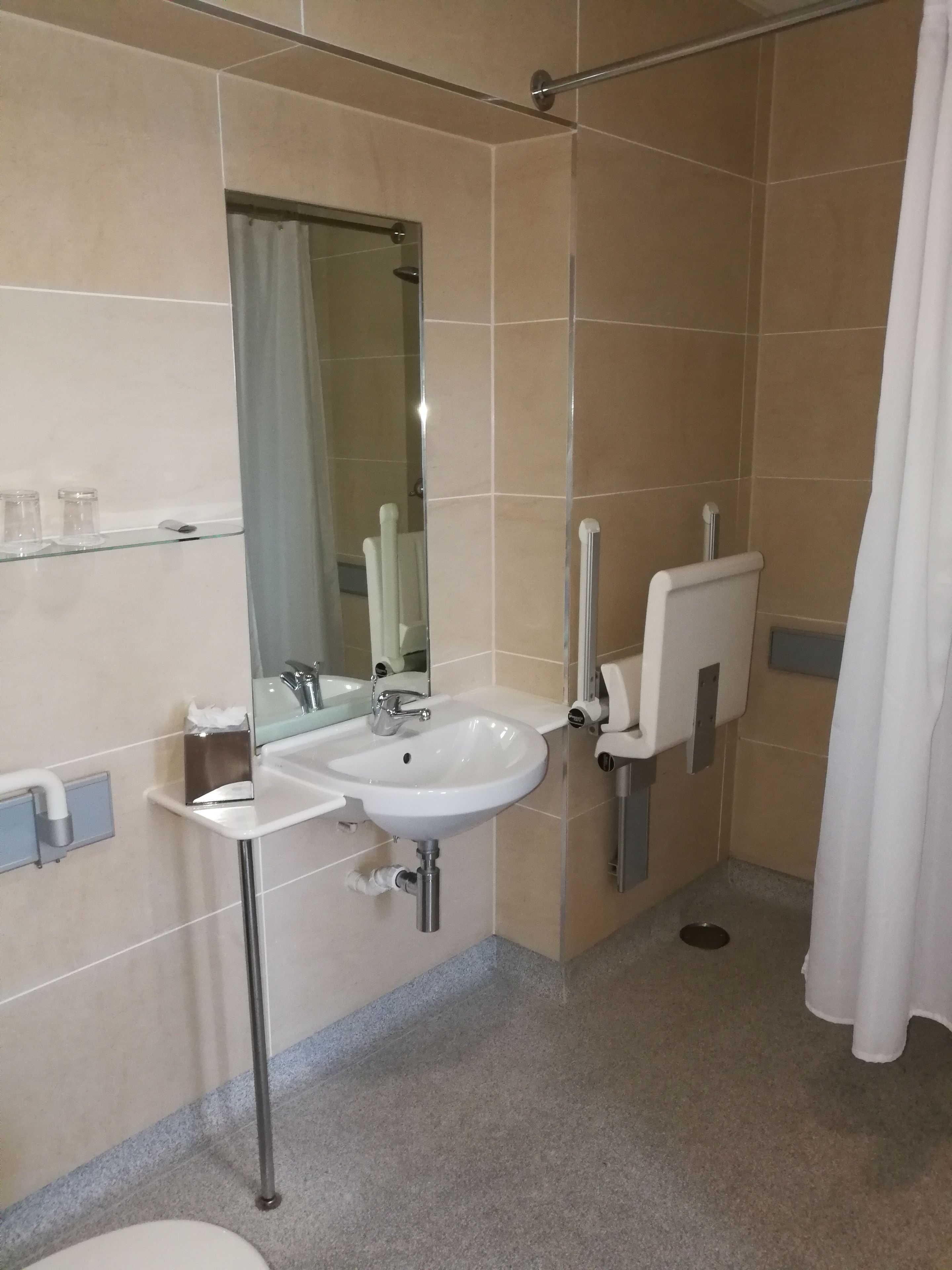 standard double room, accessible | bathroom | shower, free toiletries, hair dryer, towels