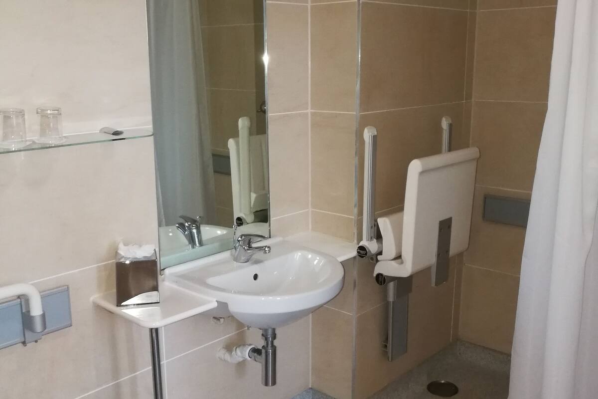 standard double room, accessible | bathroom | shower, free toiletries, hair dryer, towels