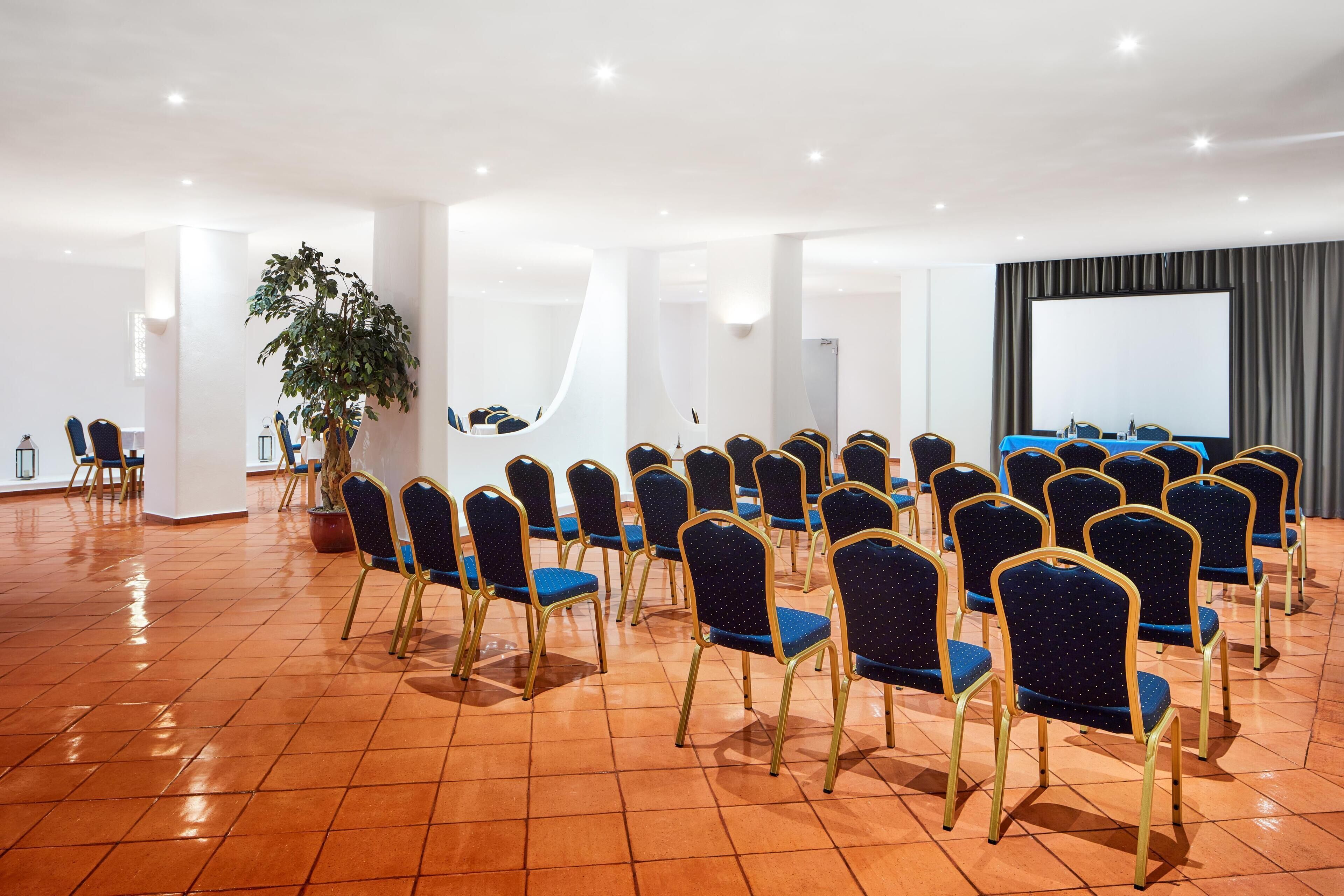A conference room with rows of chairs, a large screen, and a potted plant.