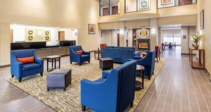 Comfort Inn & Suites IAH Bush Airport – East
