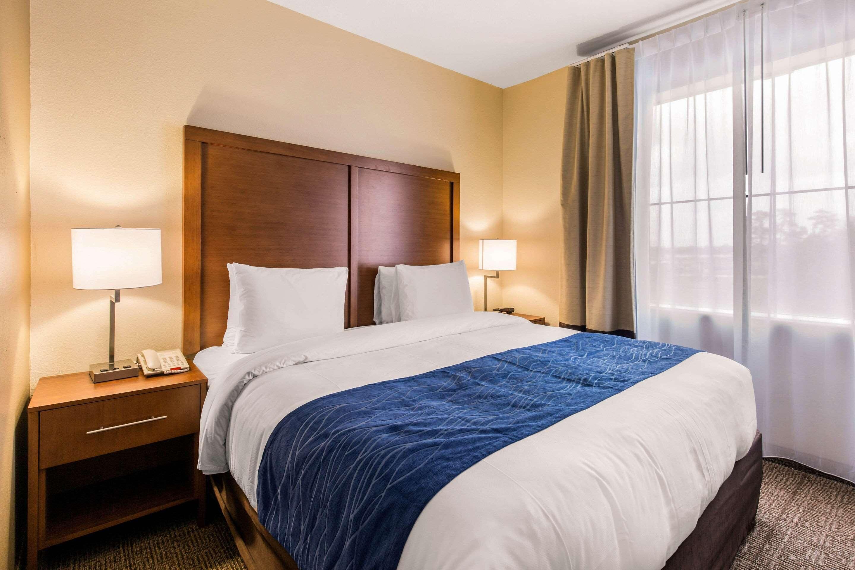 Une chambre d’hôtel avec une tête de lit en bois, deux tables de chevet avec des lampes, un lit recouvert d’une couvre-lit bleue et blanche, et une fenêtre avec des rideaux légers.