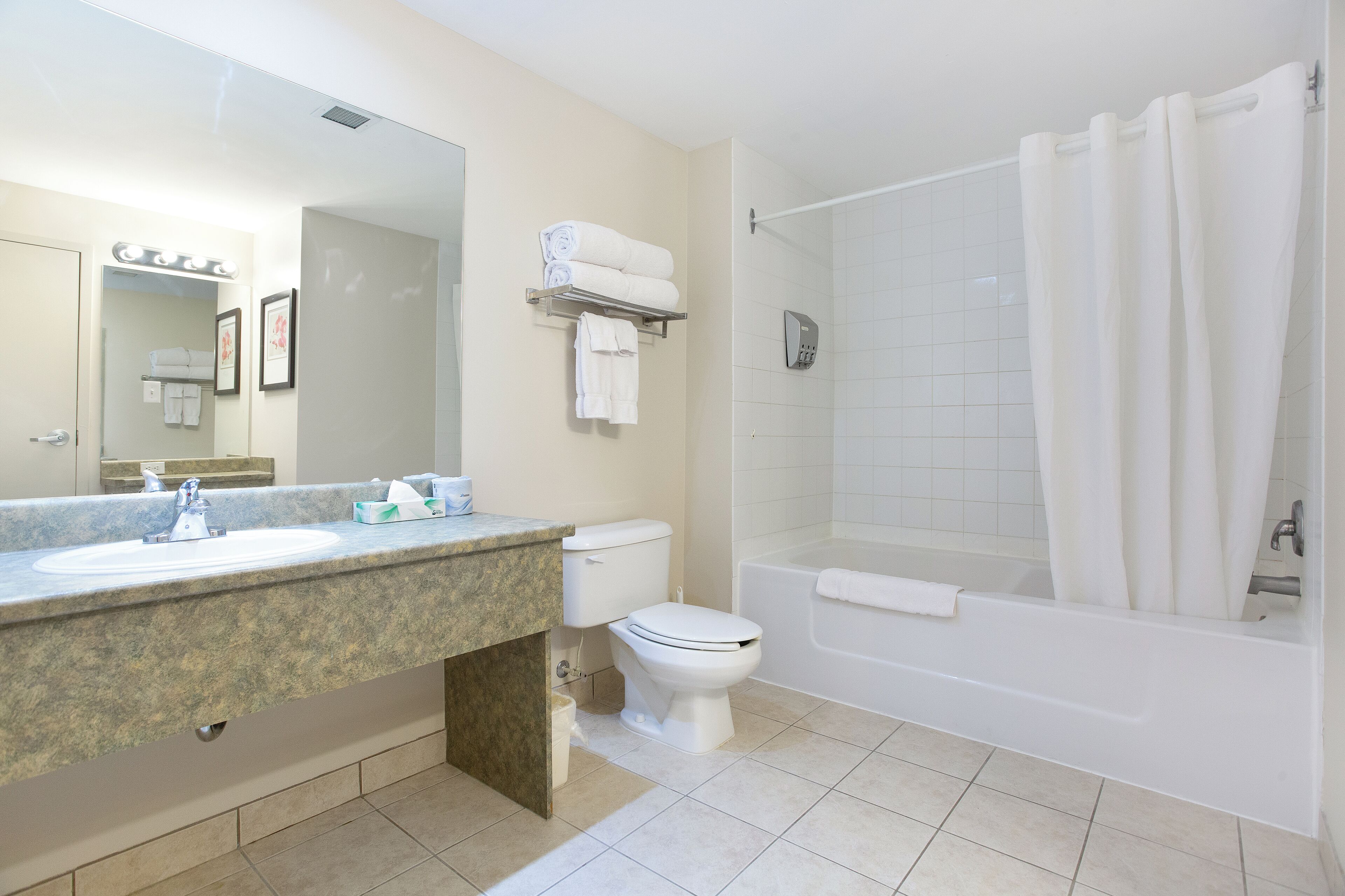 Une salle de bain avec un lavabo, des toilettes et une baignoire.