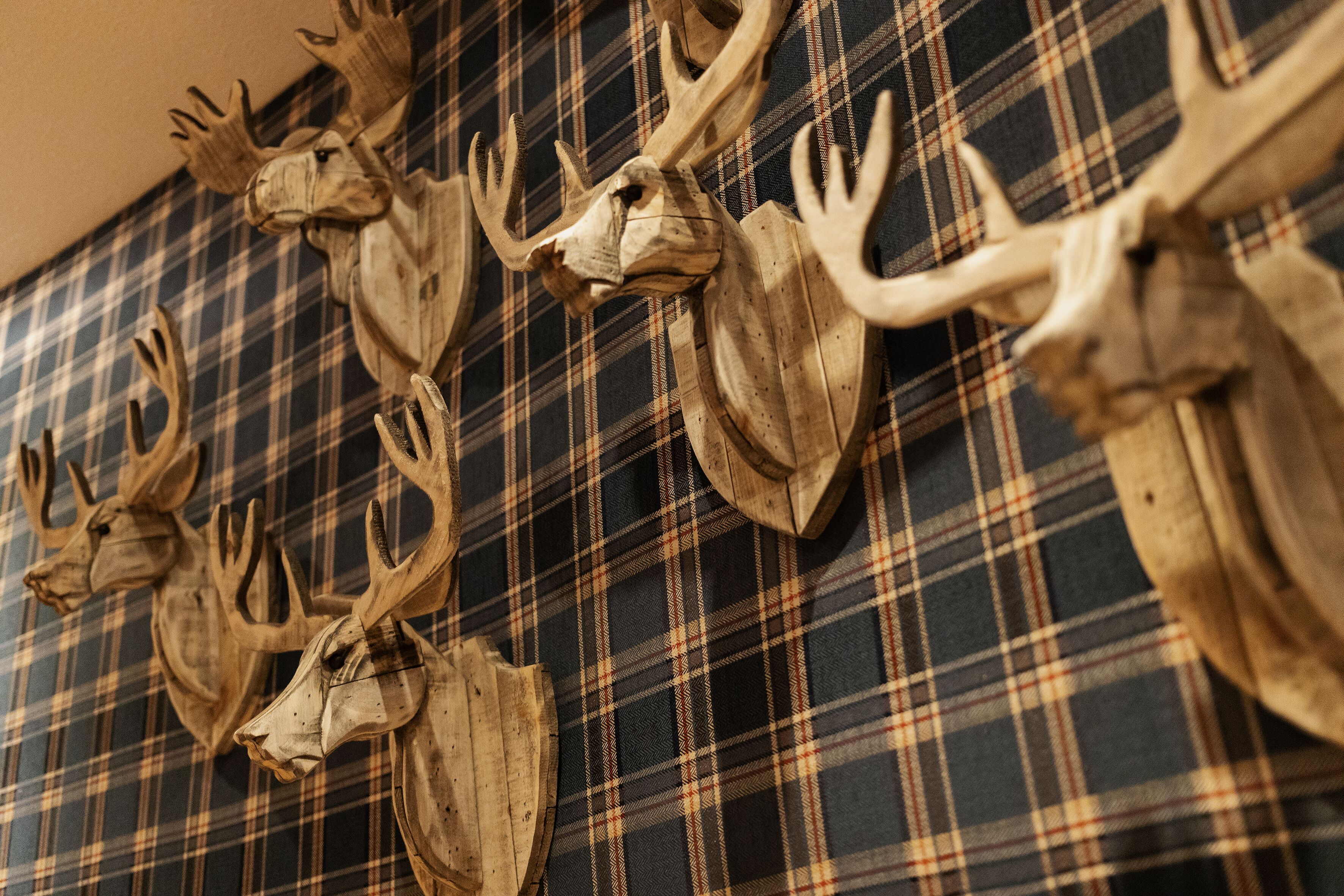 A wall with mounted animal heads, possibly deer, against a plaid fabric background.