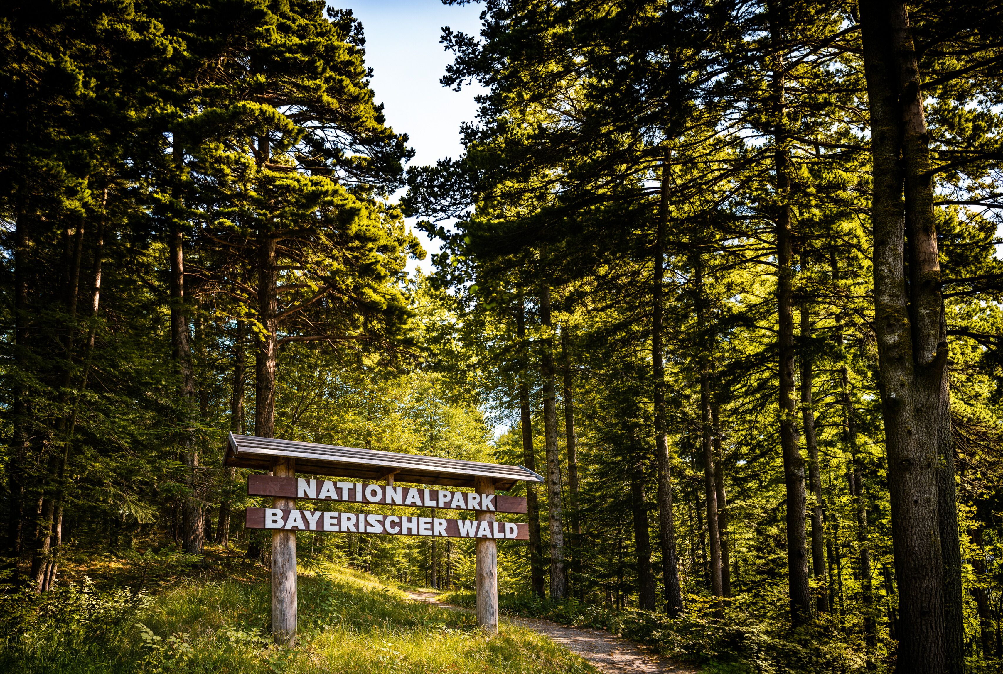 Ein Wegweiser in bewaldeter Landschaft mit dem Text 'NATIONAL PARK BAYERISCHER WALD'.