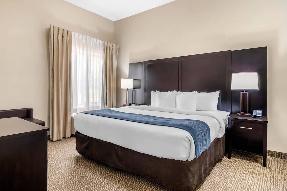 Suite, 1 King Bed with Sofa bed, Accessible, Non Smoking | Premium bedding, in-room safe, desk, laptop workspace