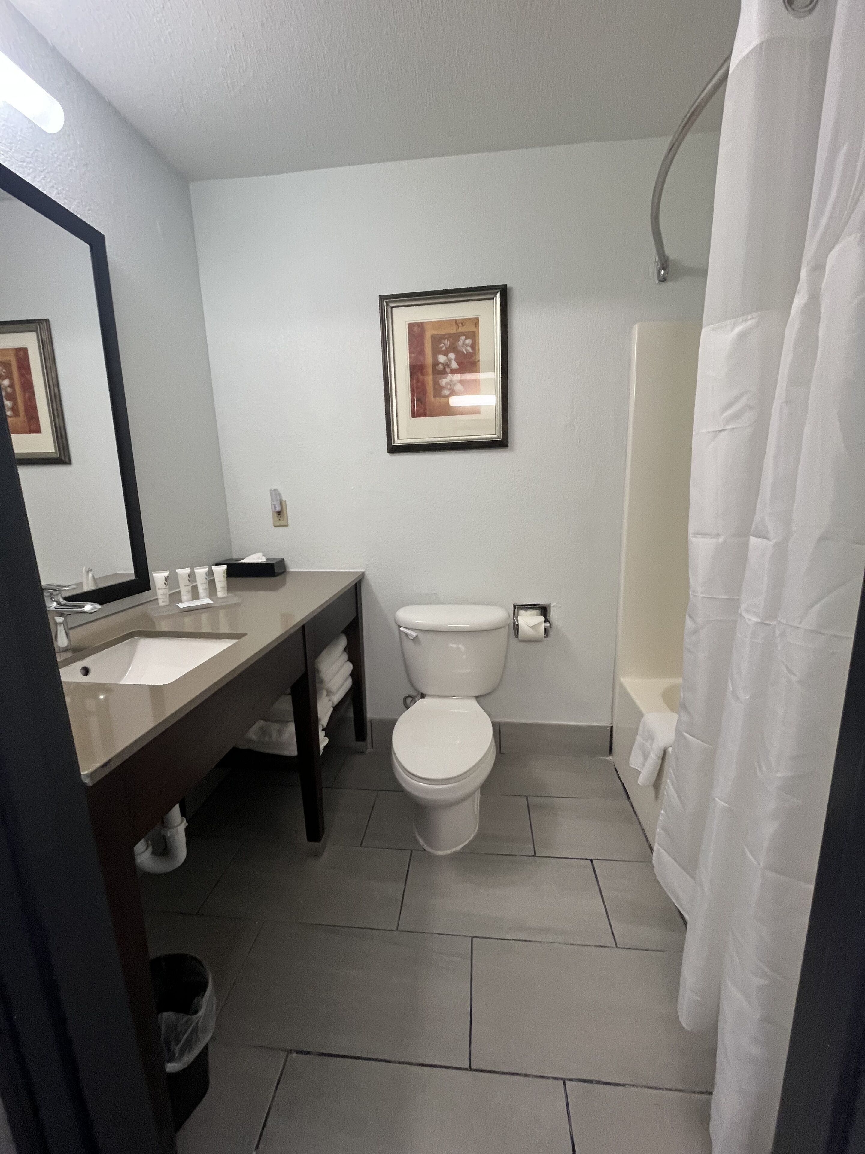 A modern bathroom with a sink, toilet, and shower.