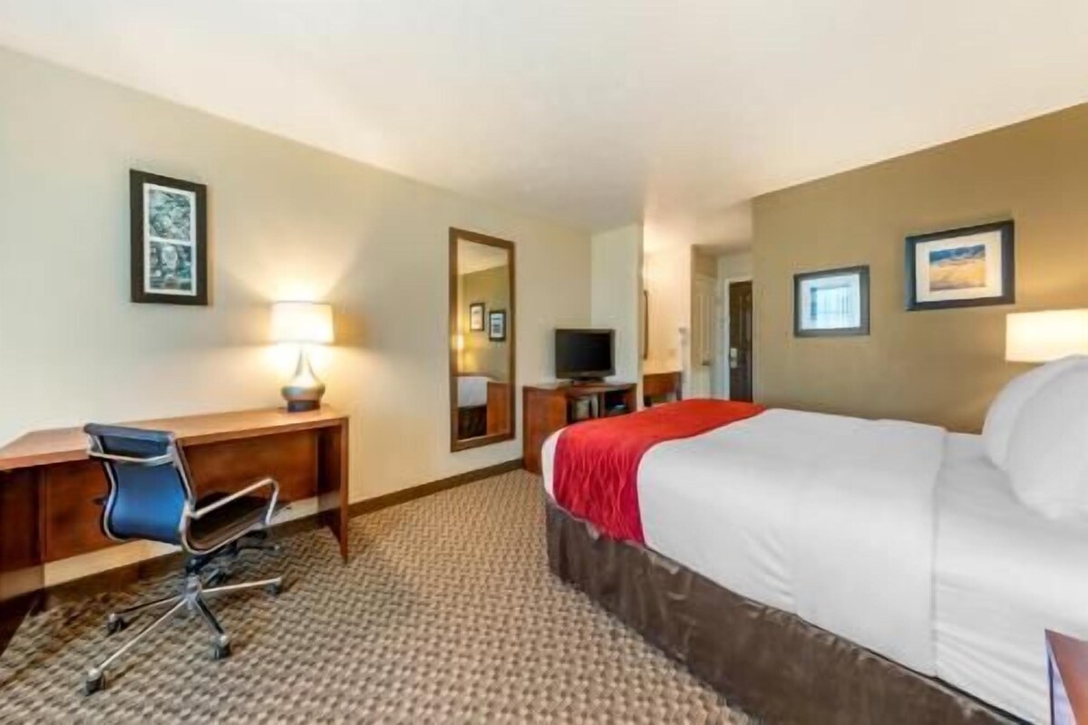 In-room safe, desk, laptop workspace, blackout curtains