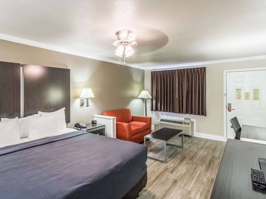 Standard Room, 1 King Bed, Non Smoking