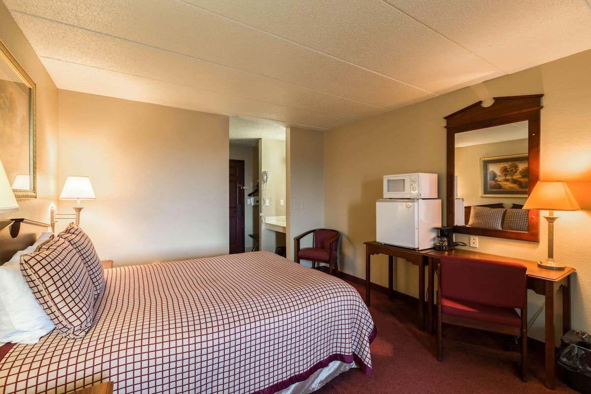 A hotel room with a bed, a desk, a chair, a microwave, and a television.