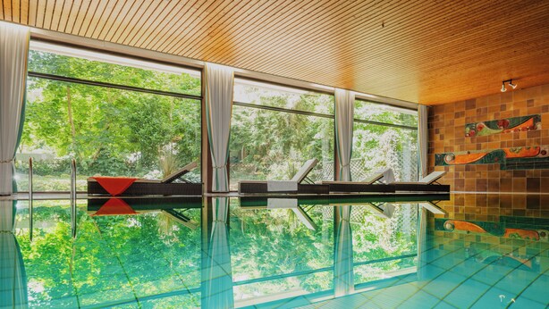 Una piscina interior con paredes de vidrio transparente, techo de madera y vistas a árboles verdes fuera.