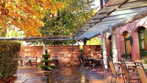 Un café al aire libre con mesas y sillas, un muro de piedra y un árbol con hojas otoñales.