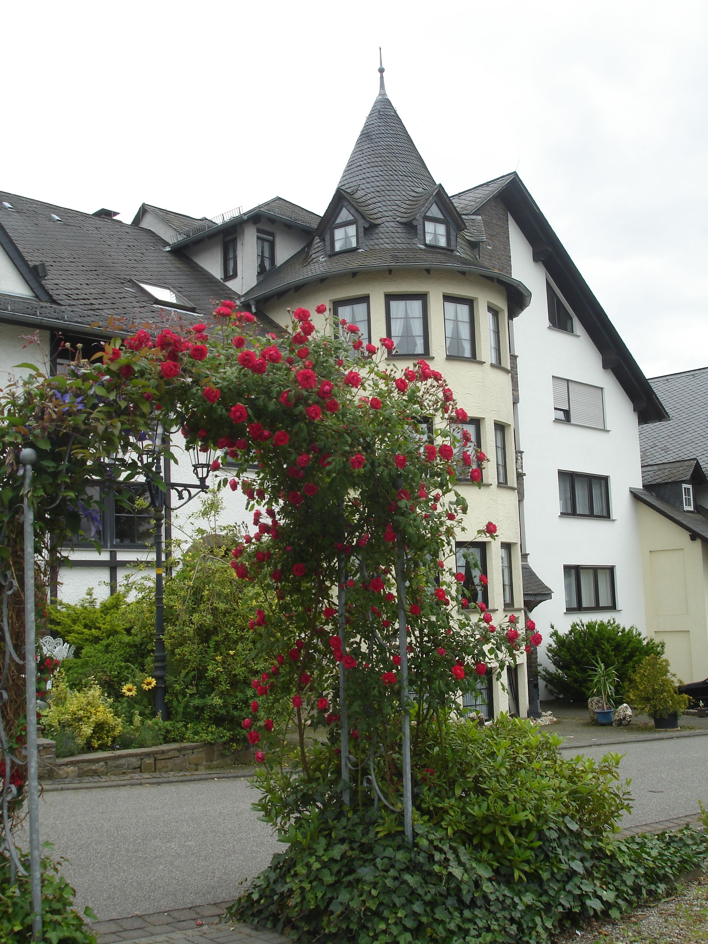 A multi-story building with a prominent tower and a rose bush in the foreground.