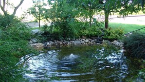 A small pond surrounded by rocks and lush greenery. - Hotel Zum Rehberg (Kastellaun)