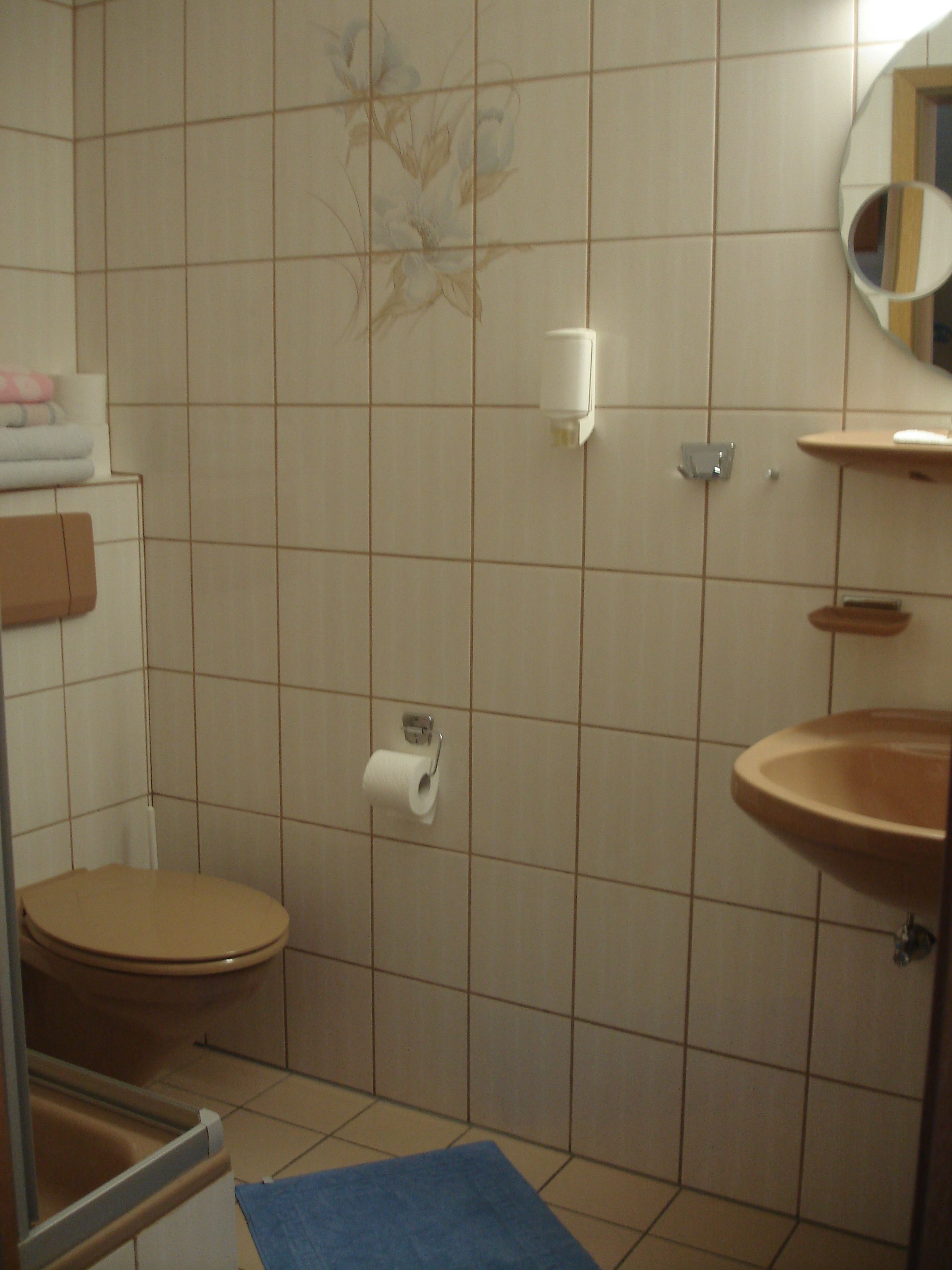 A bathroom with a toilet, sink, and mirror.