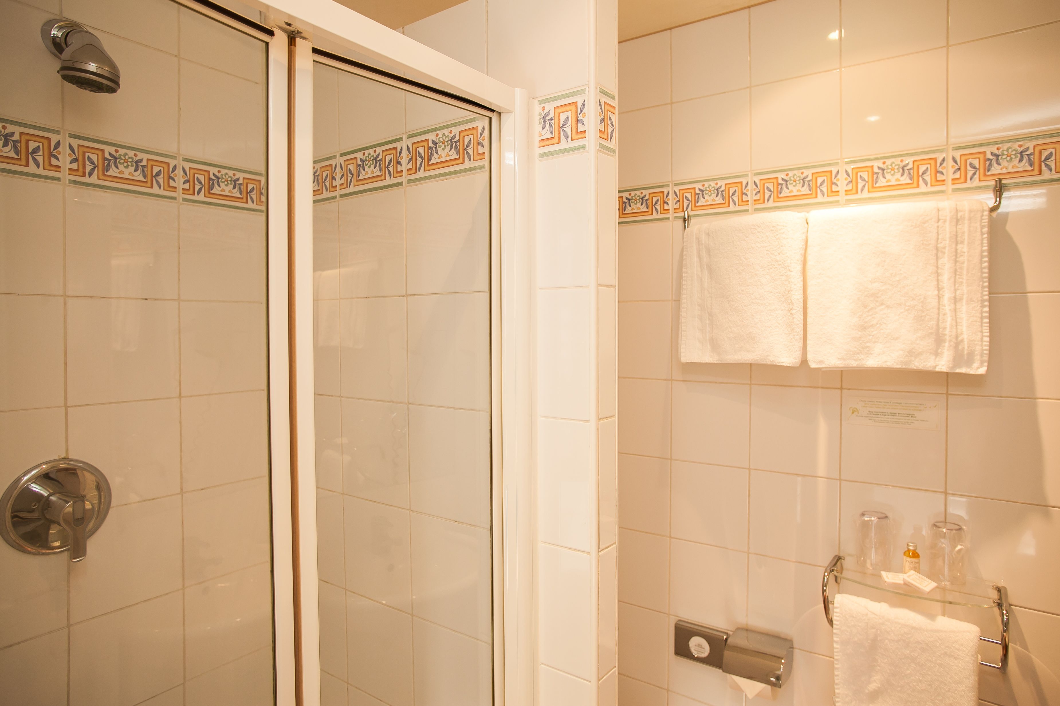 Un baño con ducha, un toallero de vidrio y un dispensador de papel higiénico.