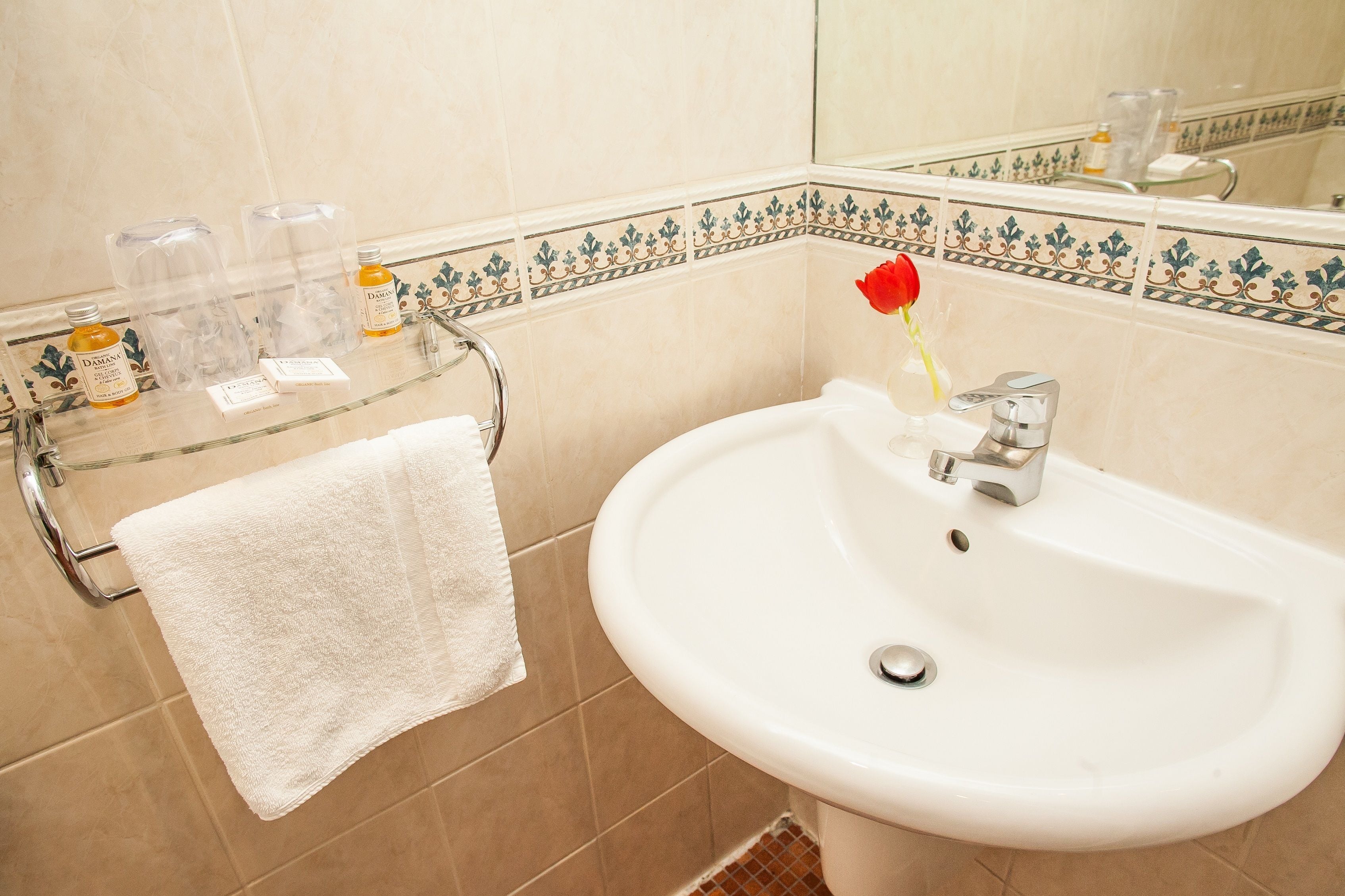 Foto - Europe Saint Severin-Paris Notre Dame