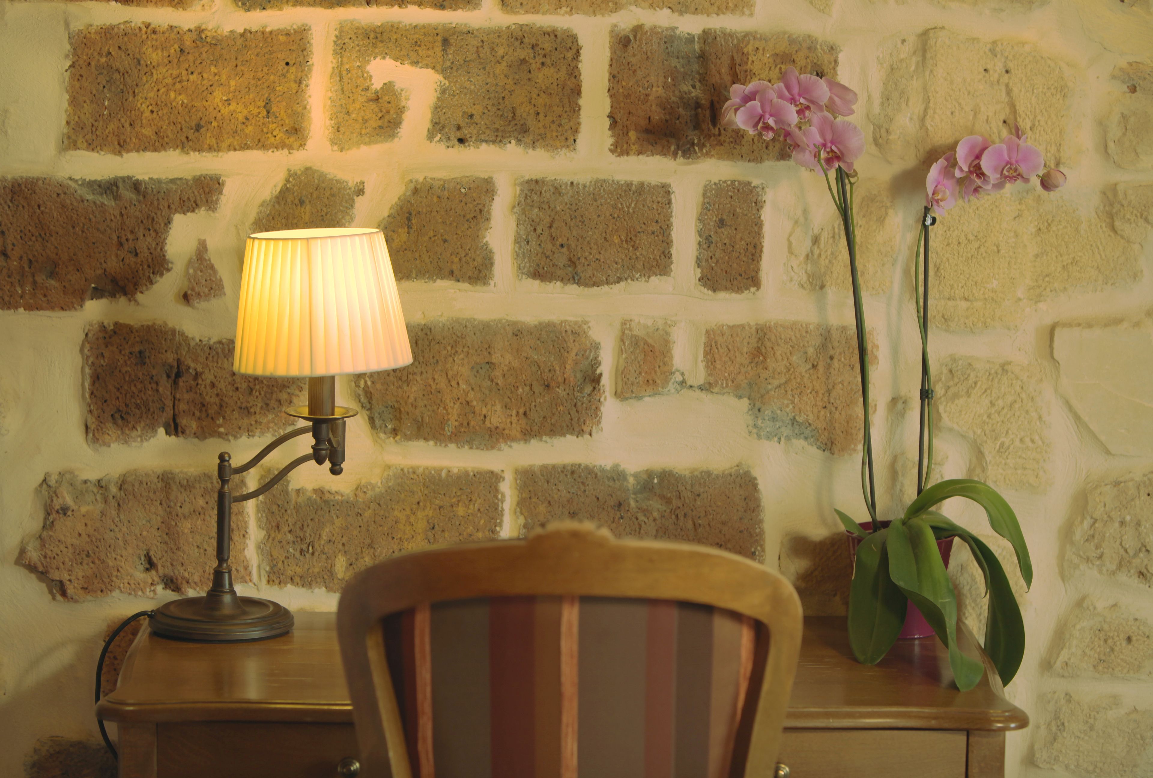 Foto - Europe Saint Severin-Paris Notre Dame