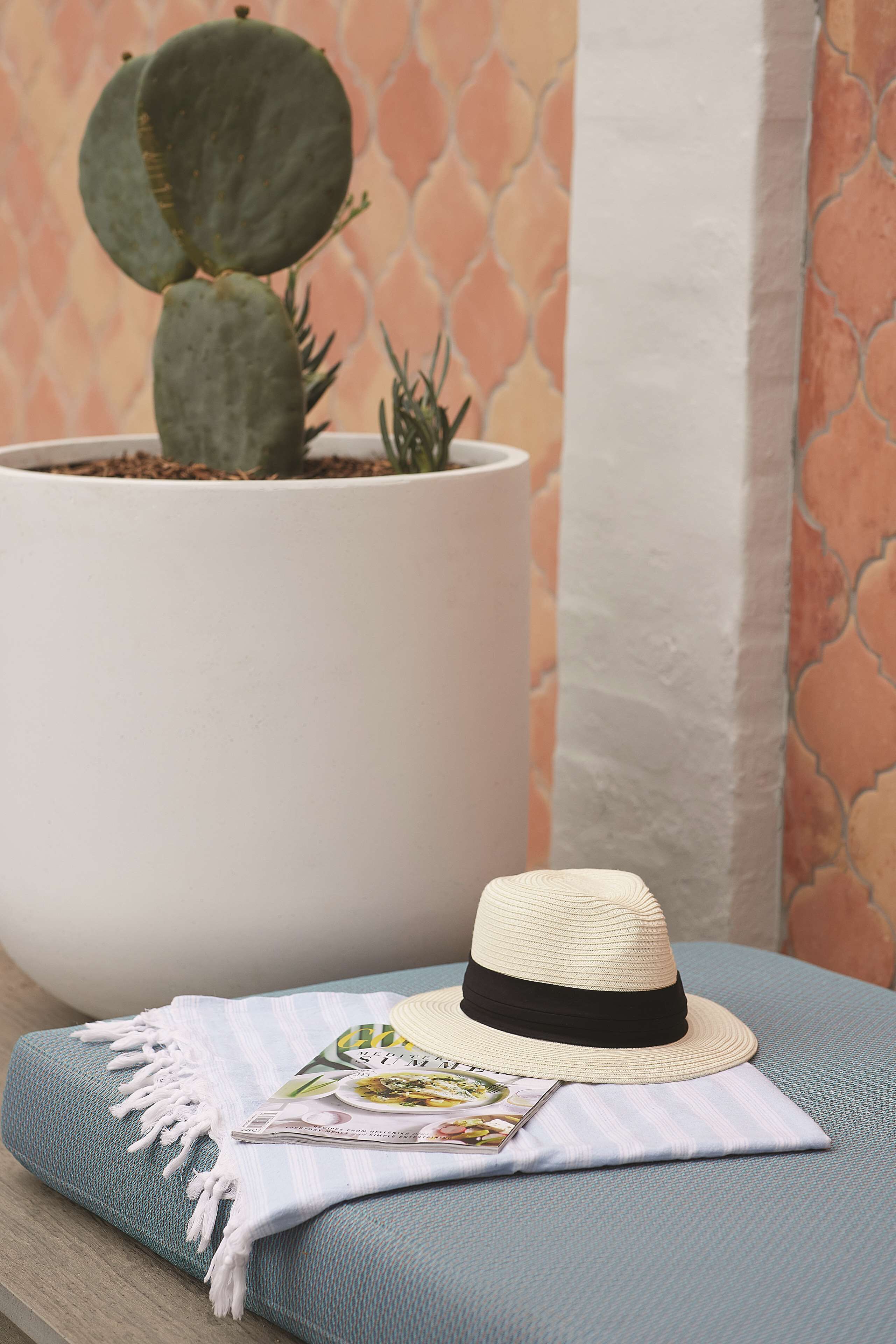 Un cactus en test, un barret de palla i una revista sobre un coixí blau.