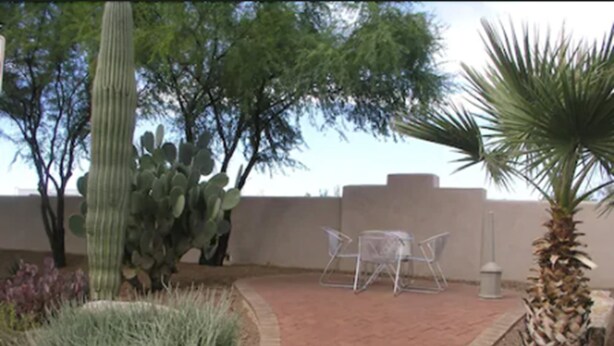 A patio area with a cactus, palm tree, and two clear plastic chairs. - Catalina Inn (Tucson)