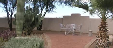 A patio area with a cactus, palm tree, and two clear plastic chairs.